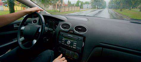 Car Dashboard Cleaners: Keeping Your Interior Dust Free