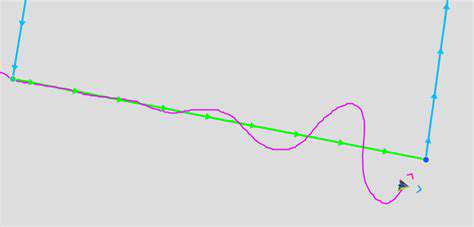 Understanding Your Car's Rearview Camera with Trajectory Lines
