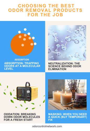 BeyondtheAirFreshener:ChoosingtheRightDeodorizer